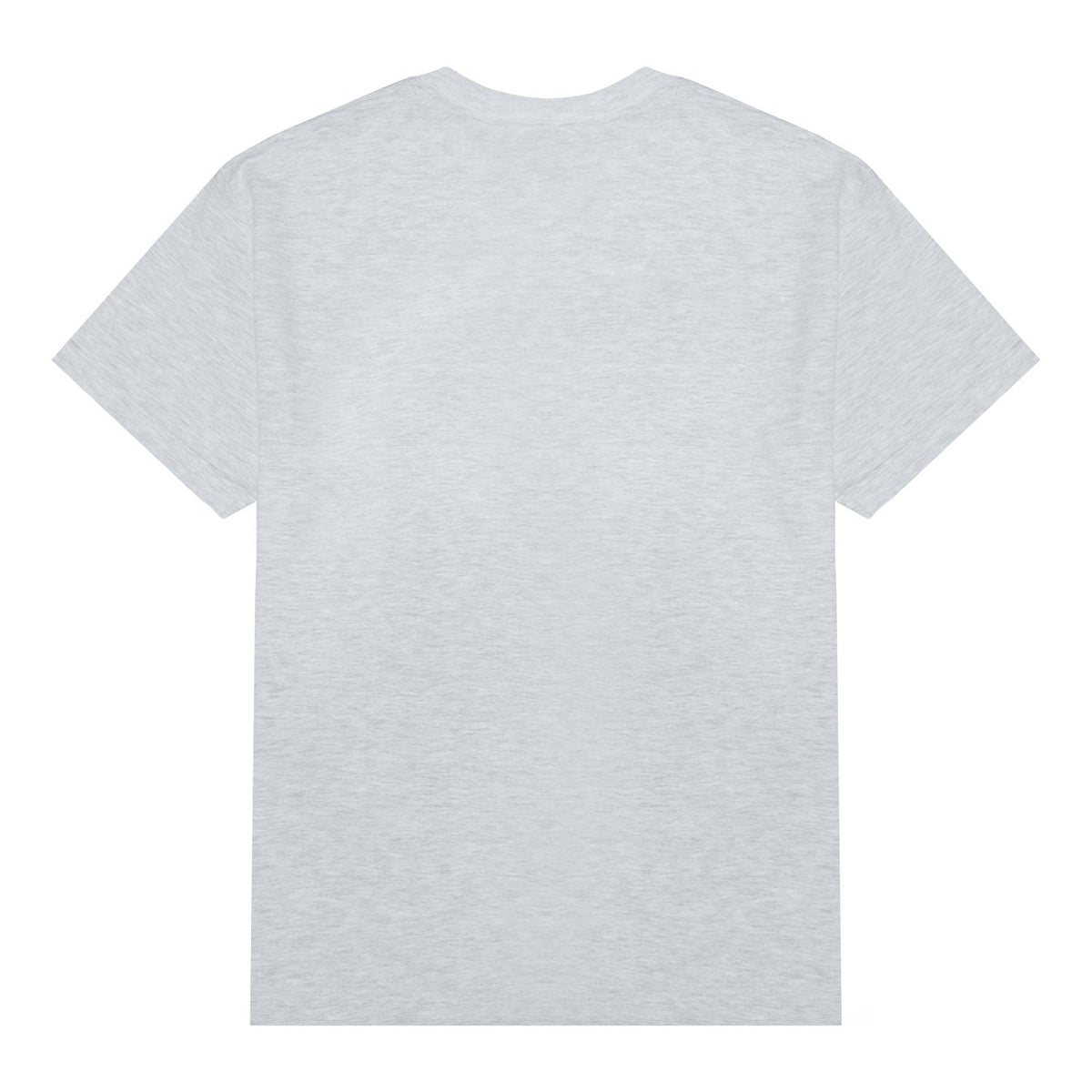 Alien Workshop Scanner T-Shirt - Ash