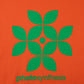 Photosynthesis Tee [Orange]