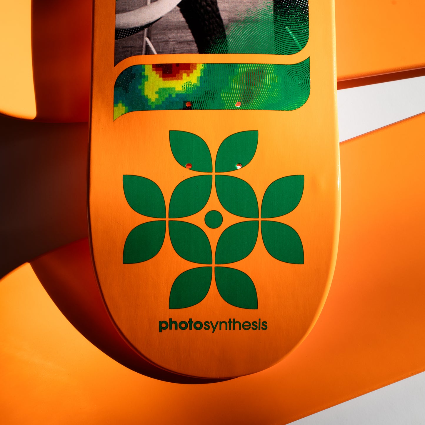 Photosynthesis Collector's Set [8"/8.25"/8.5]