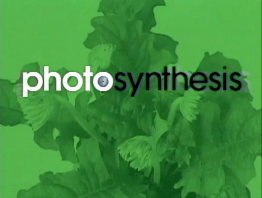 Photosynthesis Collector's Set [8"/8.25"/8.5]